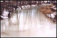 wet ice on creek  (39 kb