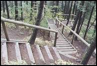 stairs on Douglas Fir trail (41 kb)