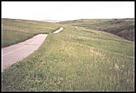 path on Nose Hill - 31 kb