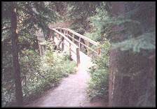 a bridge on path (29 kb)