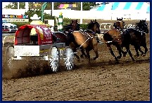 link to photos 
in a special 
Chuckwagon file (18 Kb)