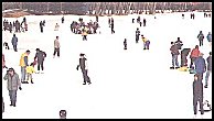 skating at Bowness Park  - 44 kb