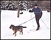 this guy is taking his dog
for a run in Snow Valley, a ski area 
within the city of Edmonton (56 kb)